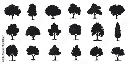 Fotografiet various deciduous trees silhouettes on the white background
