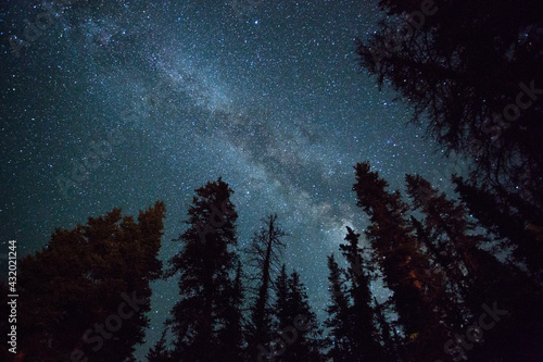The Milky Way shines above the forest in the San Juan Mountains of southern Colorado.