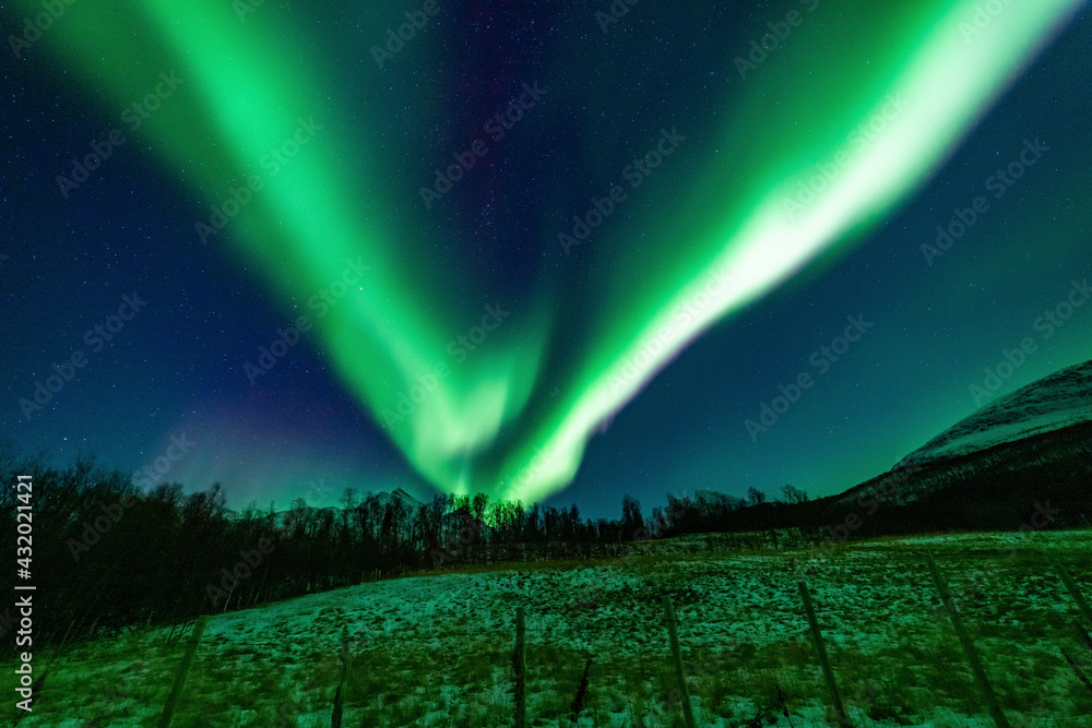 Obraz premium Nordlichter in Troms, Nordnorwegen. tanzende Aurora Borealis in grün, pink und weiss. wundervolles Naturerlebnis im hohen Norden in einer klaren und kalten Winternacht in den Lyngenalps.