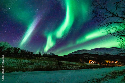 Nordlichter in Troms  Nordnorwegen. tanzende Aurora Borealis in gr  n  pink und weiss. wundervolles Naturerlebnis im hohen Norden in einer klaren und kalten Winternacht in den Lyngenalps.