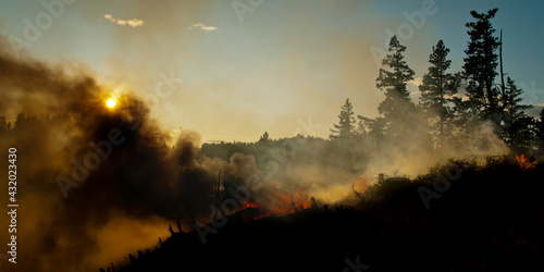 Firefighters in Washington state, USA prescribed burns in the area.