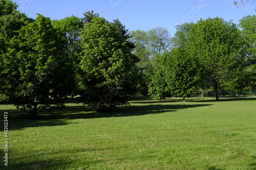 Fototapeta Naklejka Na Ścianę i Meble -  park without people in spring