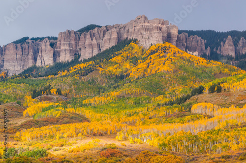 The changing fall aspens beneath South Cimarron Ridge outside of Ridgway, Colorado. photo