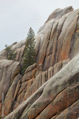 Granite rock formations and pine trees along the McCurdy Park Trail, Lost Creek Wilderness, Colorado. photo