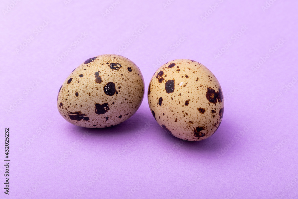Fototapeta premium two quail eggs on a solid purple background close-up