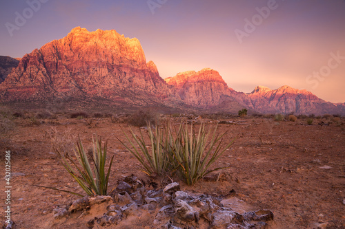 Red Rocks at Sunrise, Las Vegas, NV photo