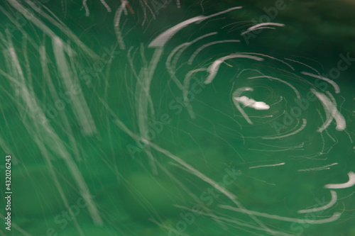 foam swirls in a creek in Mount Rainier National Park, Washington