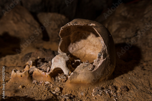 The almost intact skull of a Mayan sacrificial victim in the Crystal Cave in Belize.