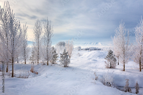 A frosty morning in the valleys of northern Utah.