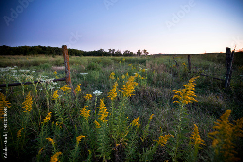 The Bottomlands of Tallgrass Prairie National Preserve, Kansas, where the grass grows the tallest.