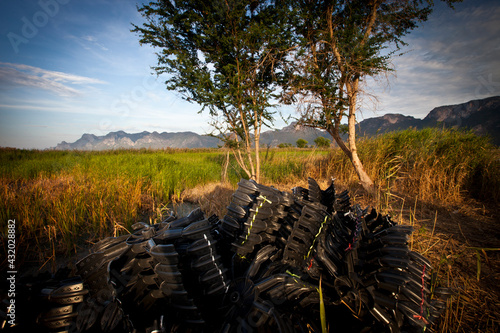 Waiting turbines for a new shrimp farm serve as a harbinger for what is about to come for the land.
