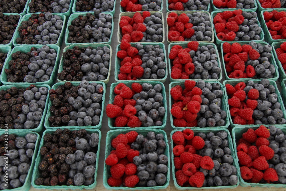 Boxes of mixed berries for sale at farmers market, Portland, Maine Boxes of mixed berries for sale at farmers market, Portland, Maine