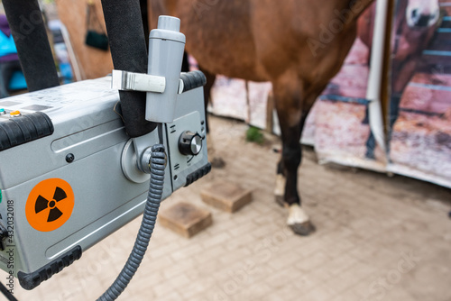 Fotografie Radiographic imaging of the equine foot