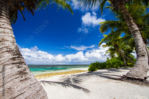 Beautiful beaches of Alphonse Island, Seychelles photo