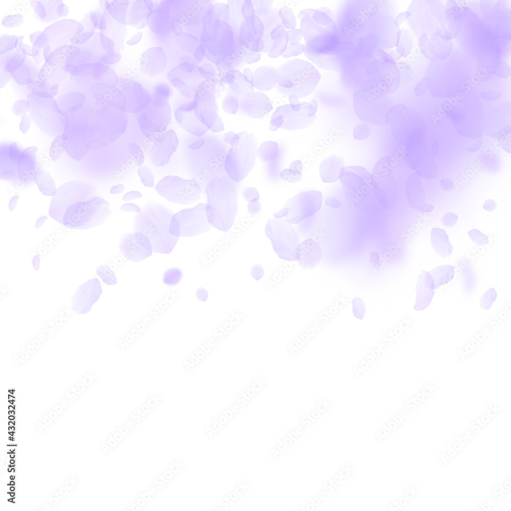 Violet flower petals falling down. Valuable romant Violet flower petals falling down. Valuable romant