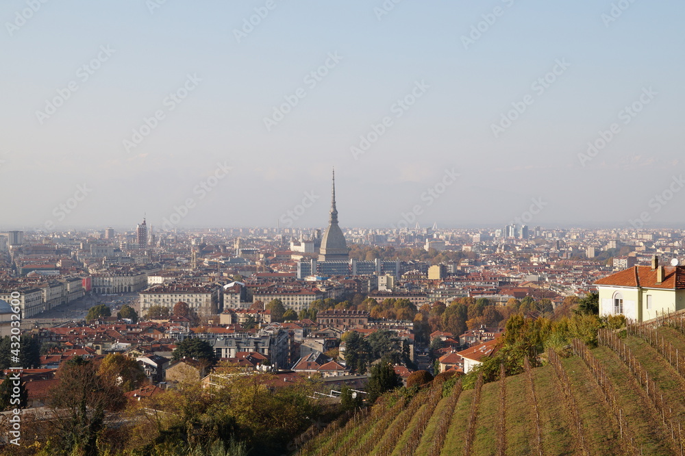 Italy, Turin: panoramic view of the city and the Alps	