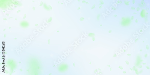Green flower petals falling down. Favorable romant