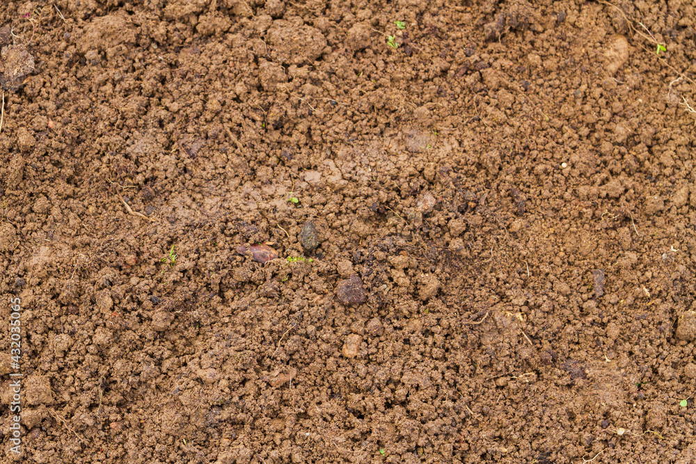 Land in the greenhouse for planting seeds in the spring Land in the greenhouse for planting seeds in the spring