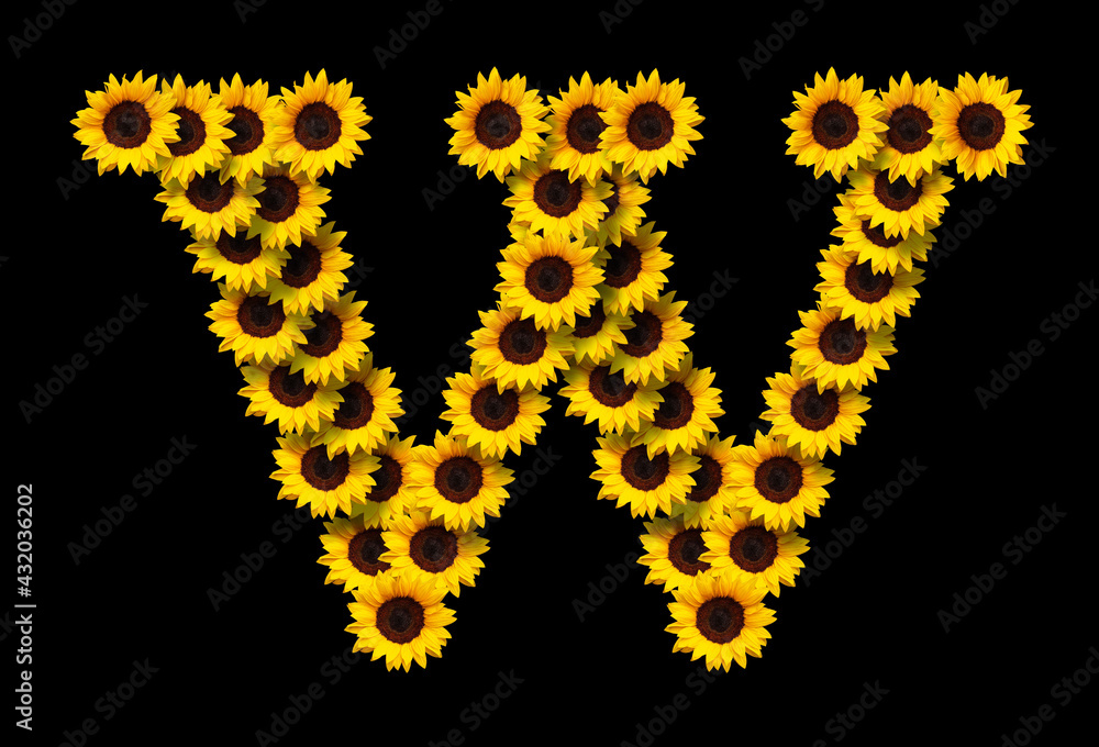 Capital letter W made of yellow sunflowers flowers isolated on black background. Design element for love concepts designs. Ideal for mothers day and spring themes