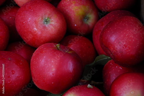 close shot of lots of red apples at market, Portland, Maine photo