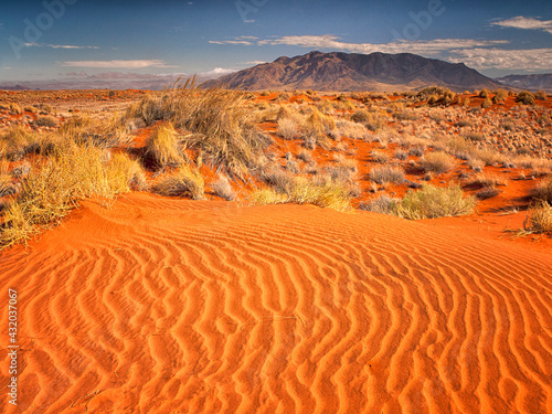 Rivulets in the sand on a red colored dune with desert grasses and distant mountains in the Namib desert, Namibia photo