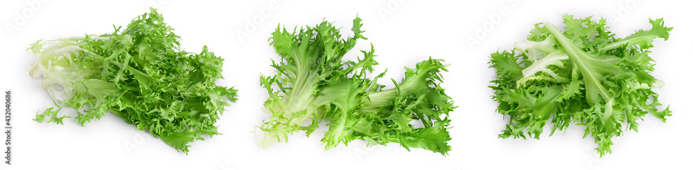 Ταπετσαρία Fresh green leaves of endive frisee chicory salad isolated on white background with full depth of field