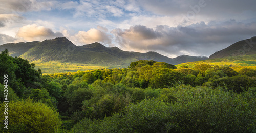 Green forest and mountain range illuminated by golden sunlight at sunrise, MacGillycuddys Reeks mountains, Ring of Kerry, Ireland