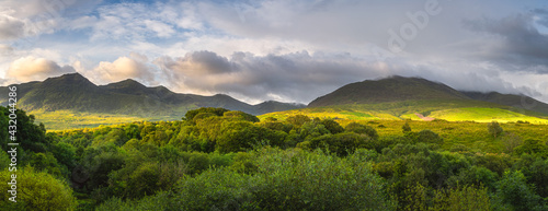 Large panorama with green forest and mountain range illuminated by golden sunlight at sunrise, MacGillycuddys Reeks mountains, Ring of Kerry, Ireland