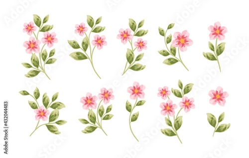 Set of hand drawn botanical peony flowers and leaf elements
