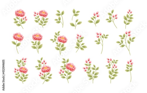Wallpaper Mural Set of hand drawn botanical peony flowers and leaf elements Torontodigital.ca