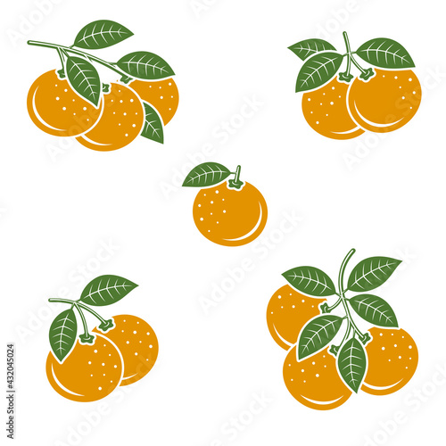 Mandarin set. Collection icons mandarin. Vector