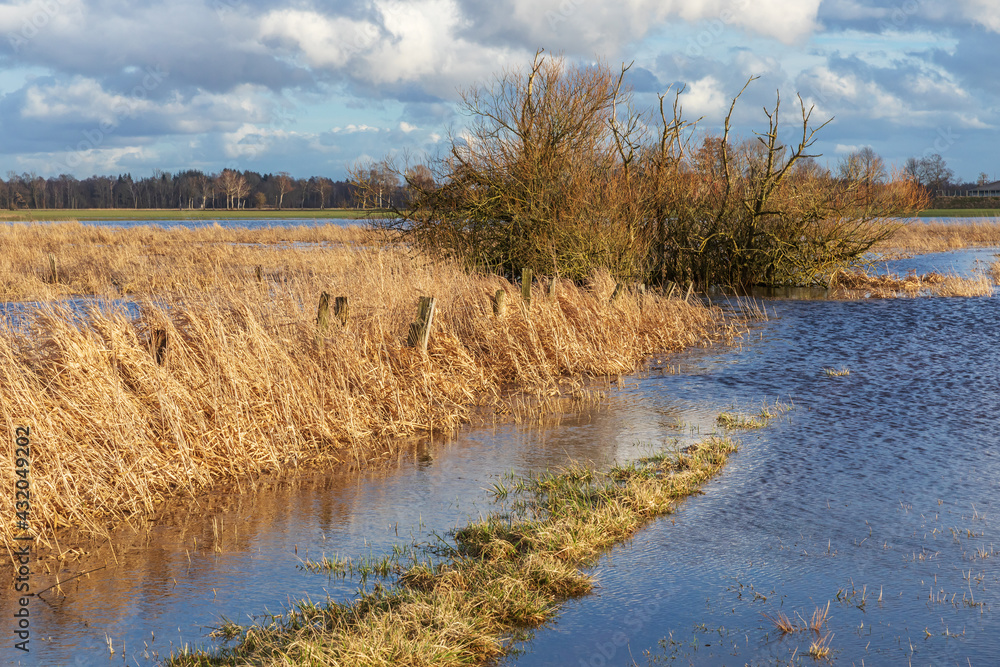 Frühjahrshochwasser in der Oberalsterniederung mit überfluteten Wiesen Mitte März in Schleswig-Holstein, Deutschland. Frühjahrshochwasser in der Oberalsterniederung mit überfluteten Wiesen Mitte März in Schleswig-Holstein, Deutschland.