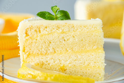 Piece of biscuit dessert  with lemon and coconut flakes. Layered vanilla cake on white plate.