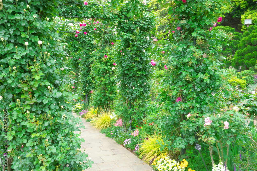 path in the park path in the park