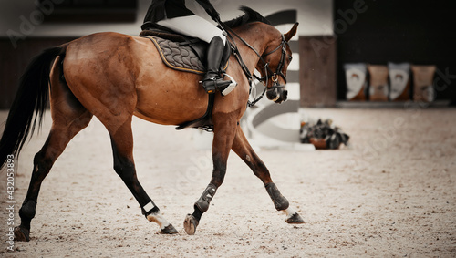 Equestrian sport. The leg of the rider in the stirrup, riding on a bay horse.