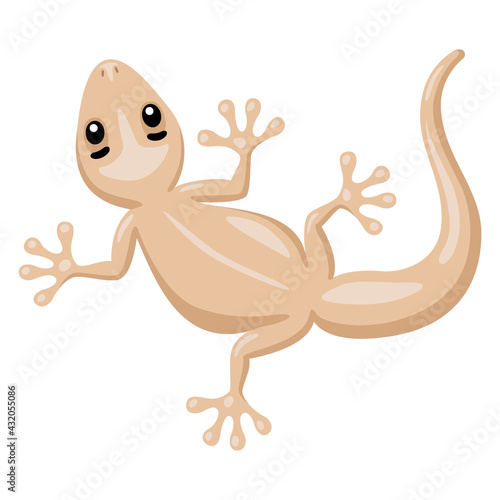 Illustration of cute cartoon house lizard.
