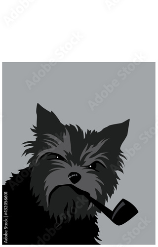 Tough dog. Yorkshire terrier with a smoking pipe. Vector image for logo, prints or illustrations.