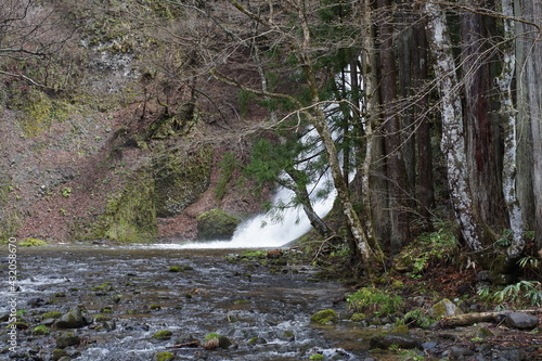 Shirakami Mountains photo