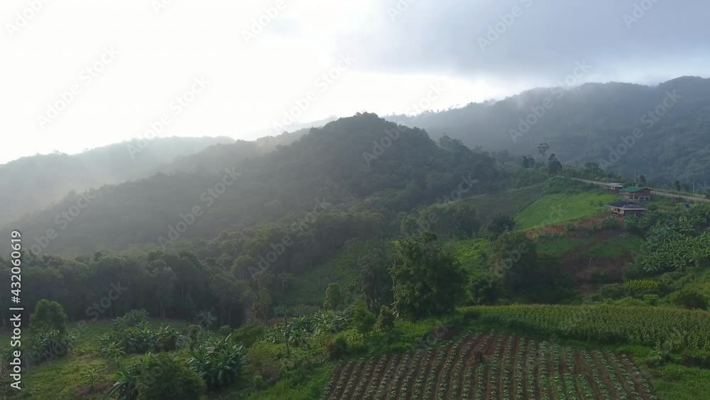 The area on the Doi Ban Rai, the garden, the natural field, the aerial video The area on the Doi Ban Rai, the garden, the natural field, the aerial video