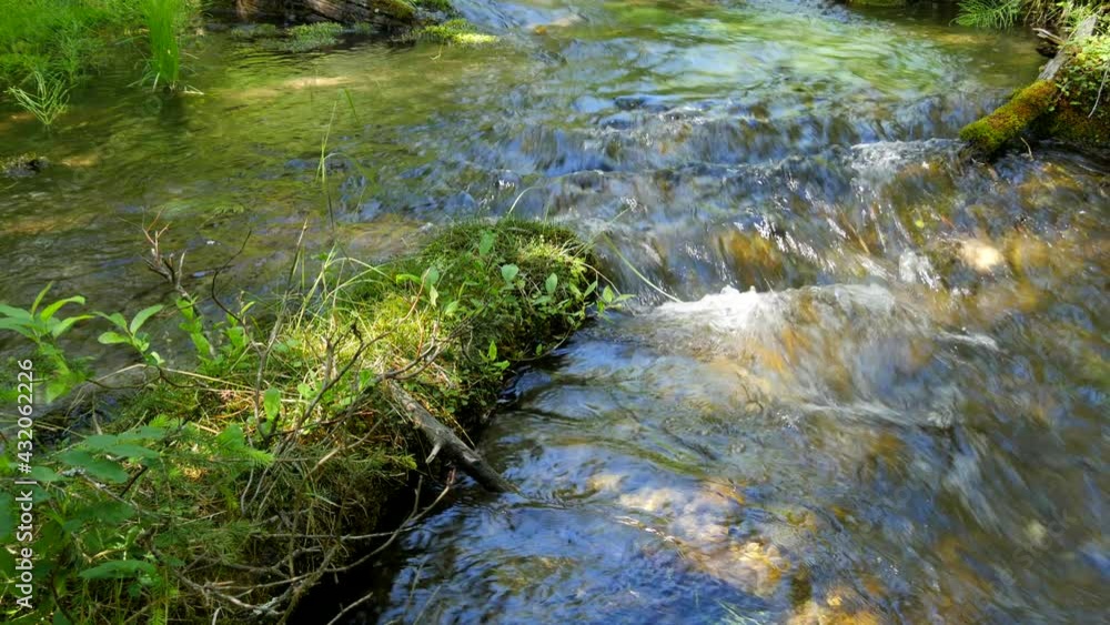 Steady shot of a mountain river flowing with natural surroundings. Moss, grass and green shrub growth on a tree log, canal in the middle of an enchanted forest concept Steady shot of a mountain river flowing with natural surroundings. Moss, grass and green shrub growth on a tree log, canal in the middle of an enchanted forest concept