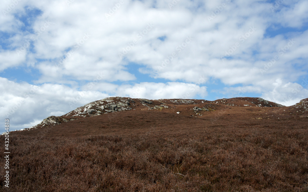 The top of the Knocknacloghoge mountain covered with dry heather.Wicklow.Ireland. The top of the Knocknacloghoge mountain covered with dry heather.Wicklow.Ireland.
