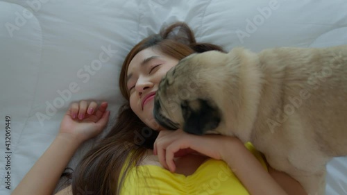 A beautiful Asian woman lounging with her pet pug in bed. The dog play tease and lick her. photo
