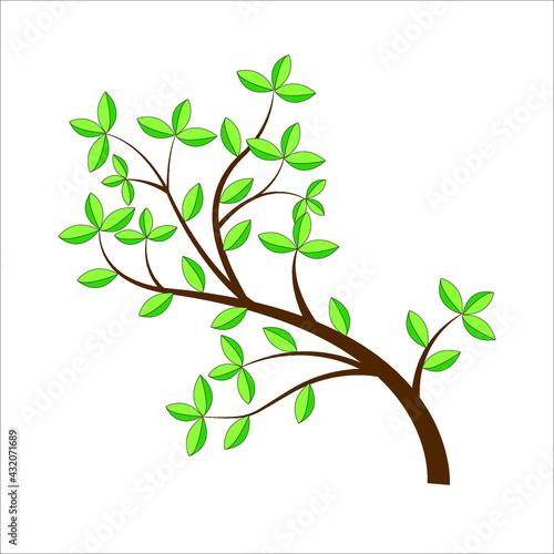 Tree branch with green leaves. Detailed vector plant, isolated on white background. © Nongkran