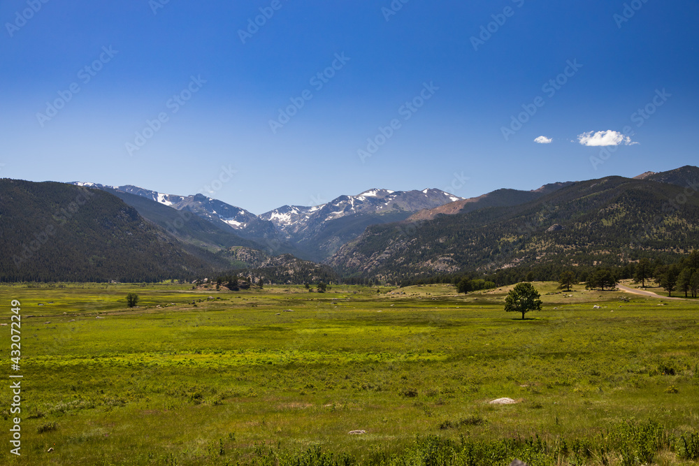 Meadow in Rocky Mountain National Park mountain range, Colorado, USA
