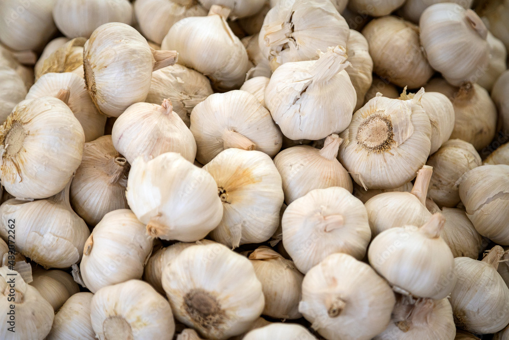Young garlic in box, background. Fresh garlic variety grown in the shop. Tasty and healthy food Young garlic in box, background. Fresh garlic variety grown in the shop. Tasty and healthy food