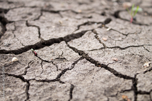 Deep cracks in the ground. The dry ground cracked.