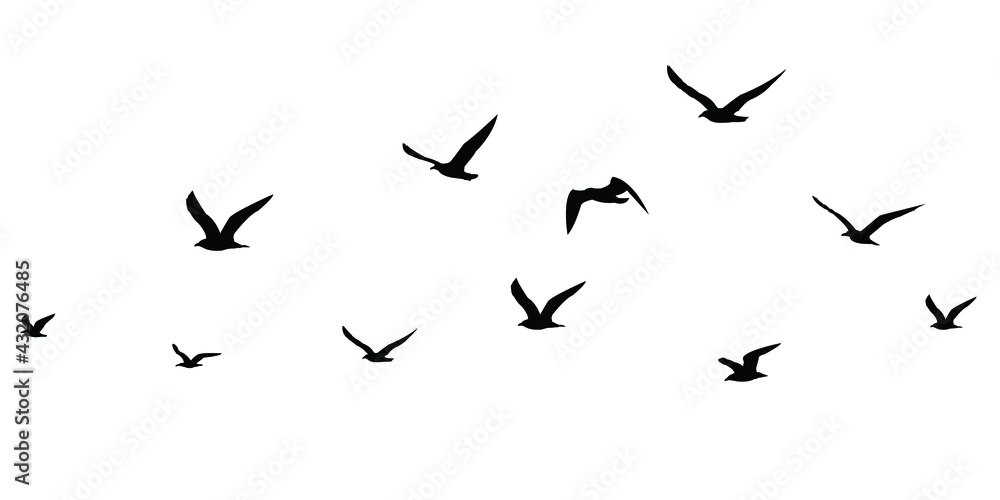 Naklejka premium silhouettes of birds set. seagulls in flight isolated. Migration of birds. Vector stock illustration
