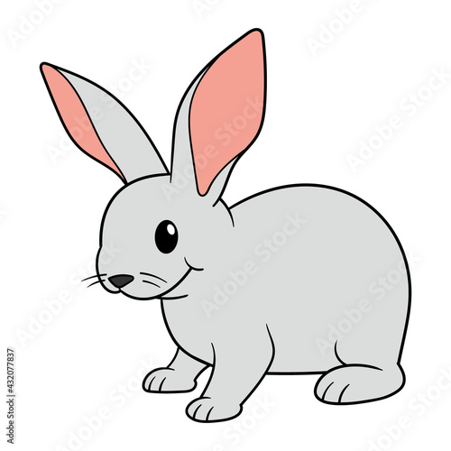 Cartoon Bunny Rabbit Vector Illustration © siridhata