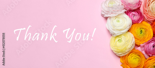 Beautiful ranunculus flowers and text Thank you on pink background, flat lay. Greeting card design