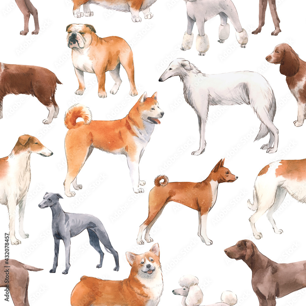 Beautiful seamless pattern with cute watercolor hand drawn dog breeds Cocker spaniel Greyhound Hound Basenji and Russian Greyhound Whippet . Stock illustration.